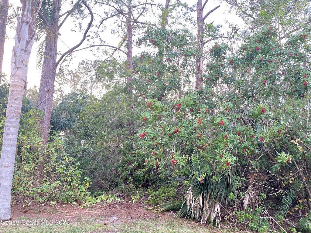 1708 Sand Road, Palm Bay, FL 32909