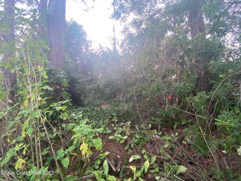 1708 Sand Road, Palm Bay, FL 32909