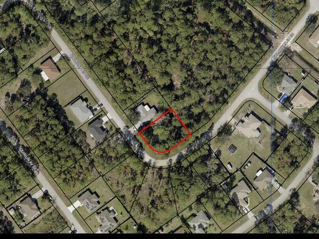2596 Rayburn Avenue, Palm Bay, FL 32909
