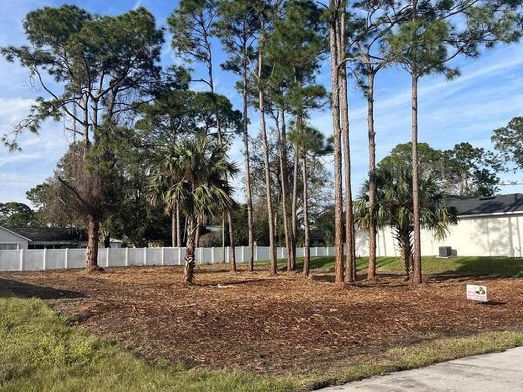 1141 Tiger Street, Palm Bay, FL 32909