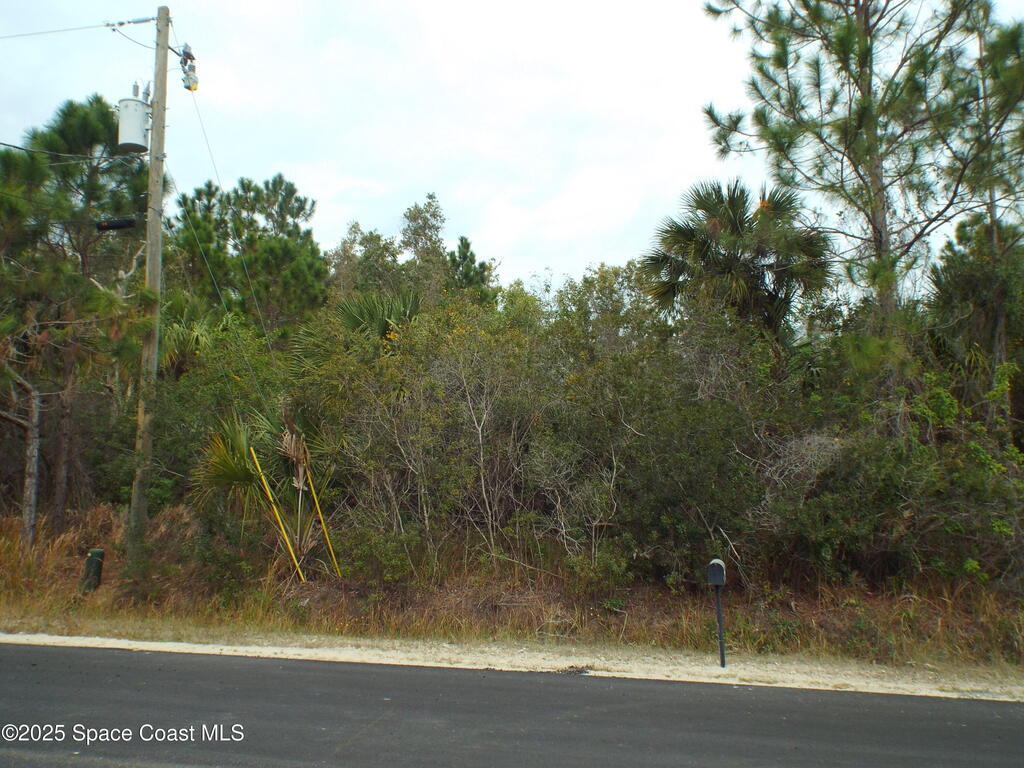 401 SW Lamon Street, Palm Bay, FL 32908