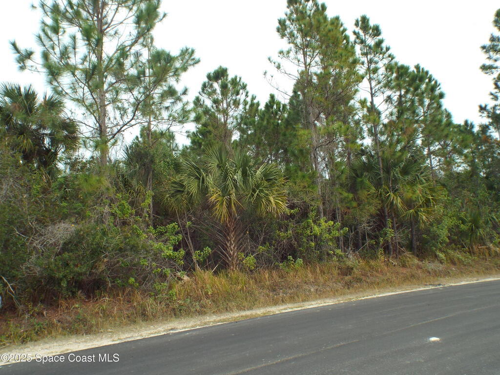 401 SW Lamon Street, Palm Bay, FL 32908