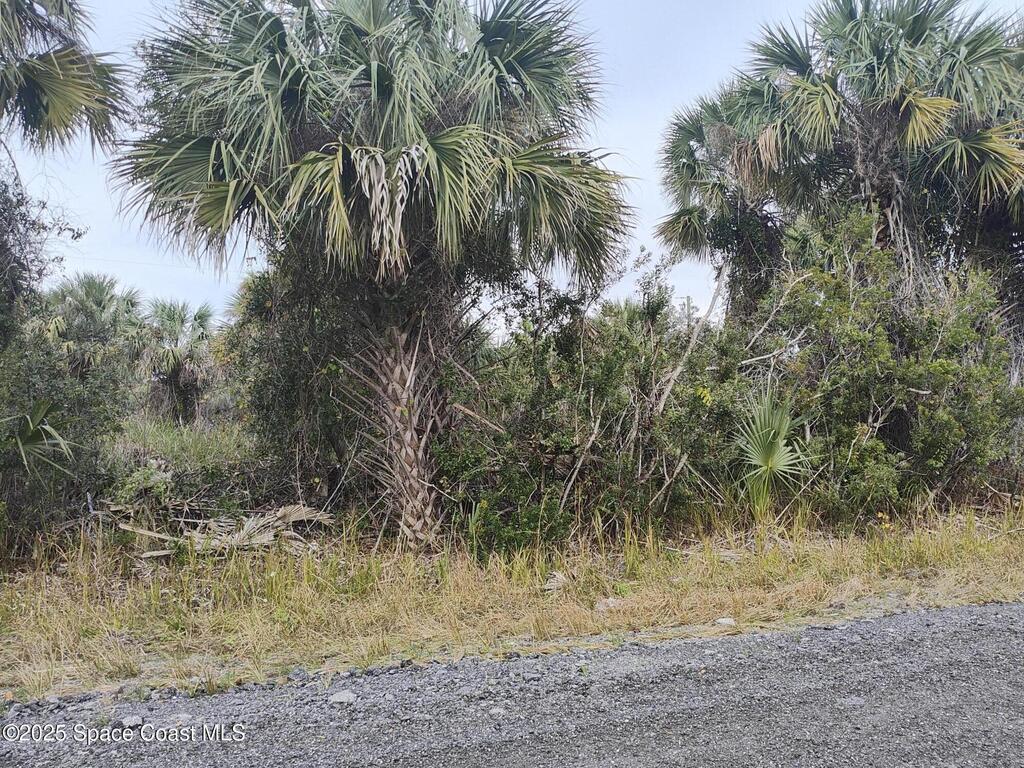 2117 Begonia Avenue, Palm Bay, FL 32908