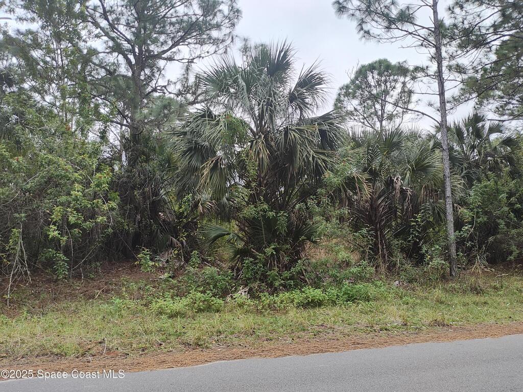 3395 SW Fitzpatrick Avenue, Palm Bay, FL 32908