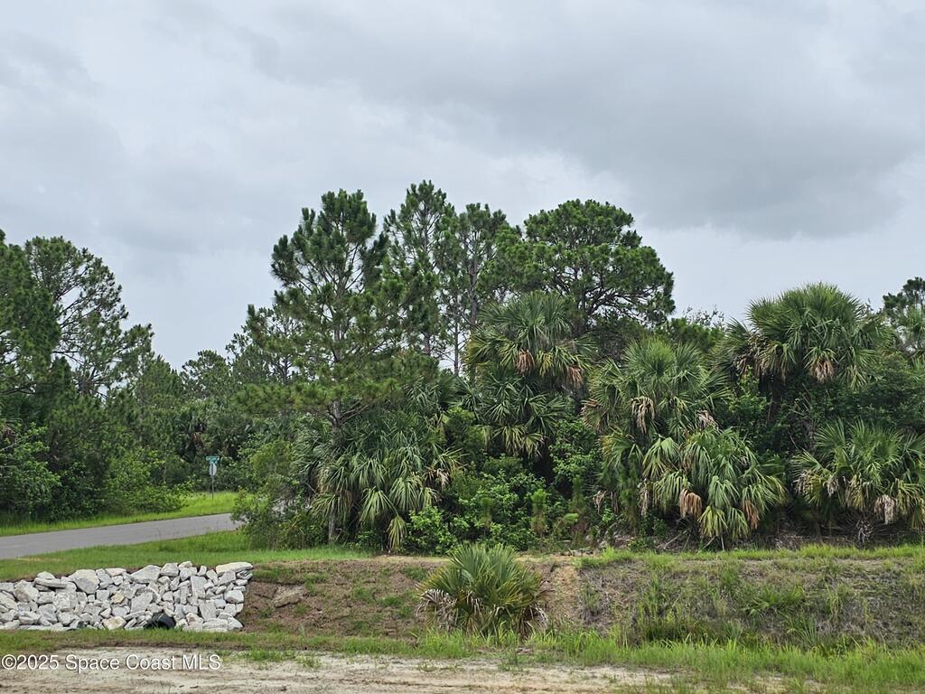 3317 Fitzpatrick Avenue, Palm Bay, FL 32908