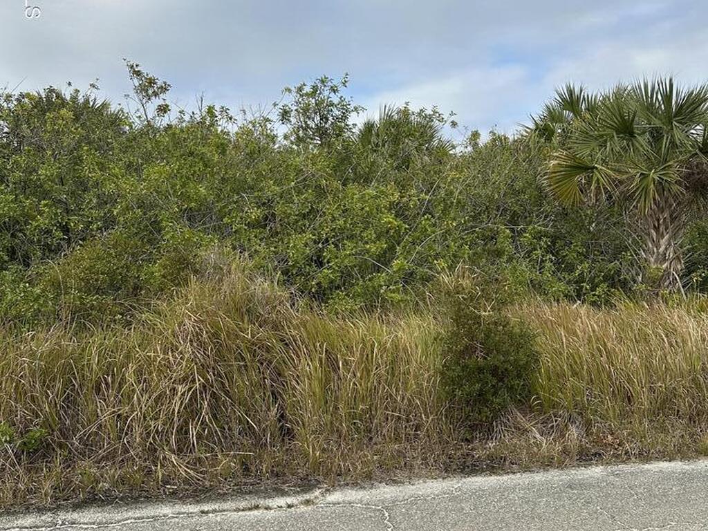 1350 Merganser Street, Palm Bay, FL 32908