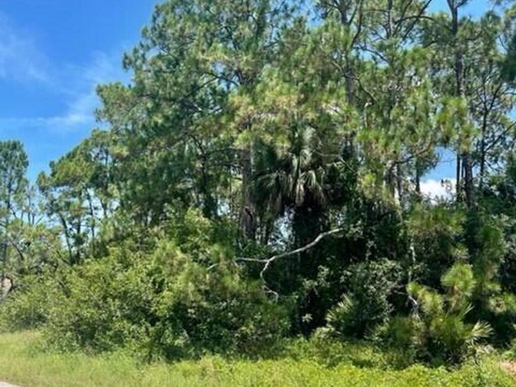 171 & 177 Shalimar Avenue, Palm Bay, FL 32907