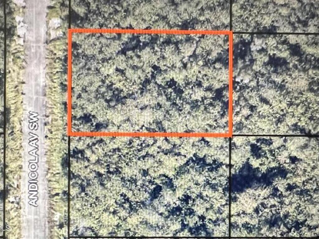 1911 Andicola Avenue, Palm Bay, FL 32908