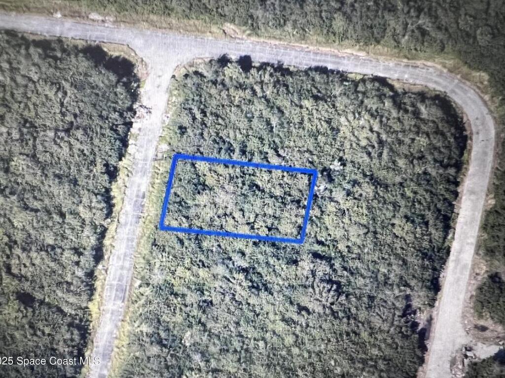 1911 Andicola Avenue, Palm Bay, FL 32908