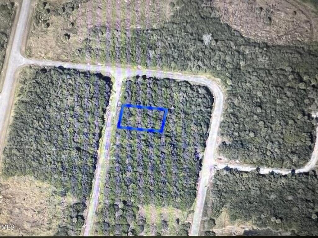 1911 Andicola Avenue, Palm Bay, FL 32908