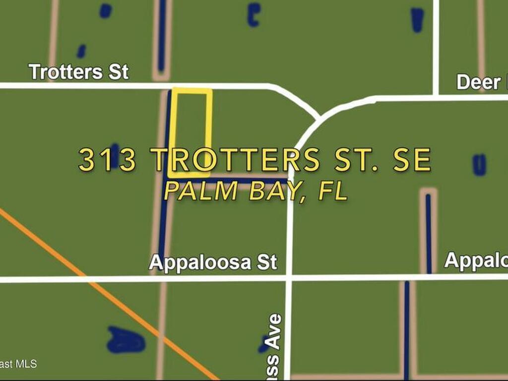 313 Trotters Street, Palm Bay, FL 32909