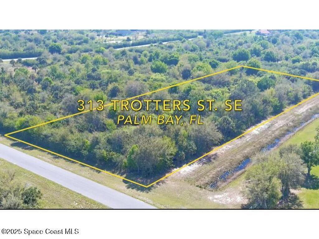 313 Trotters Street, Palm Bay, FL 32909