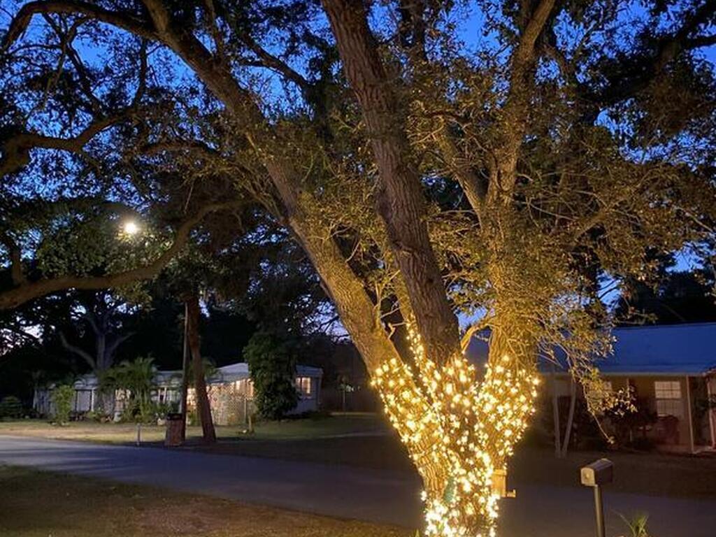 1785 Orris Avenue, Merritt Island, FL 32952