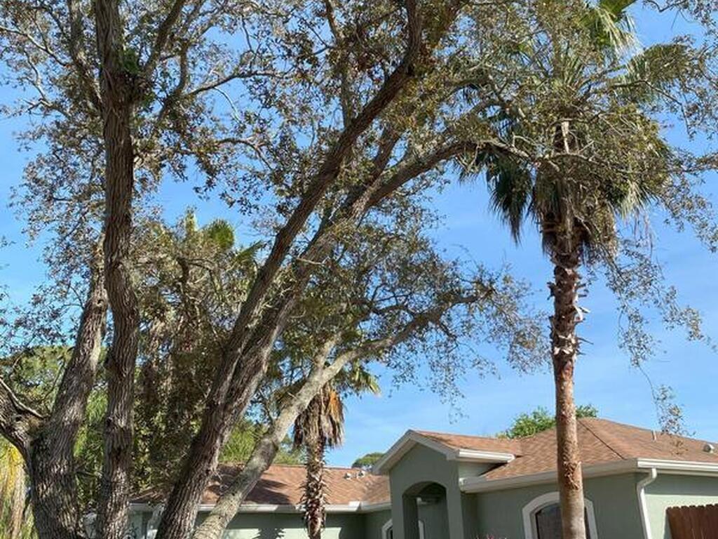 1785 Orris Avenue, Merritt Island, FL 32952