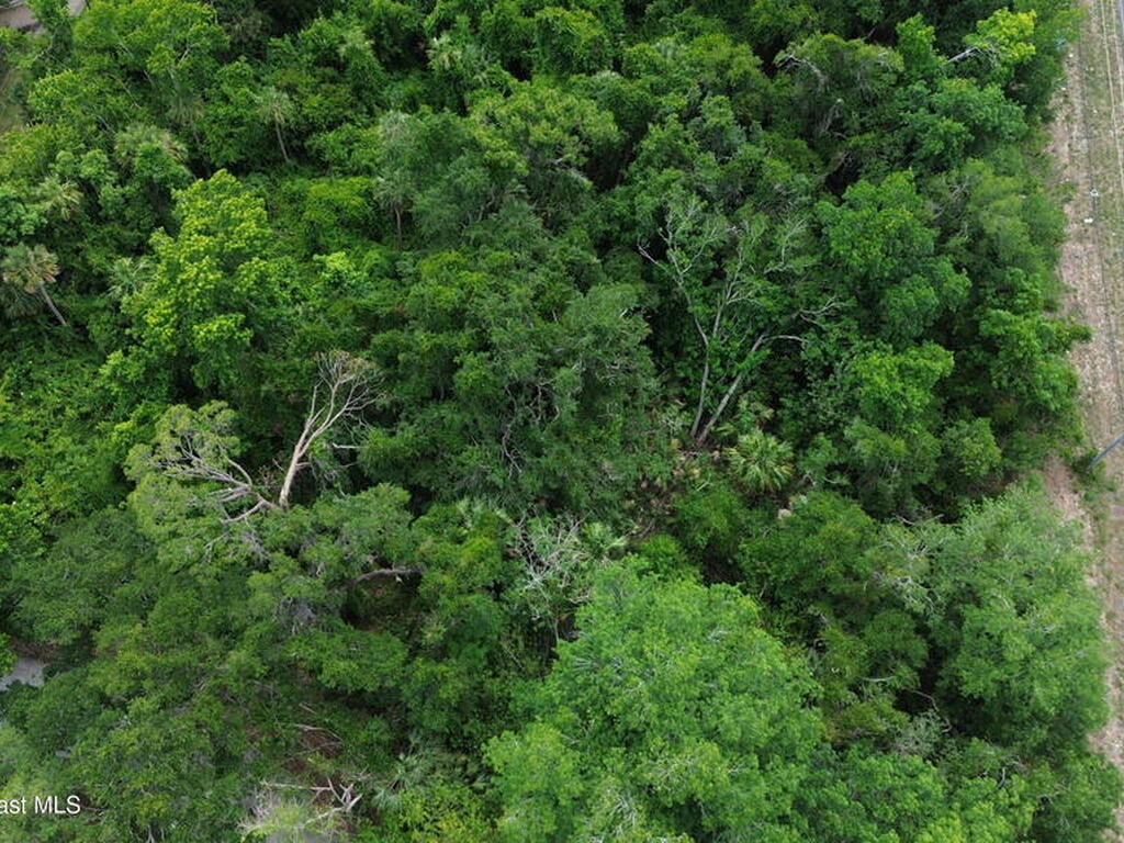 00 S Washington Avenue, Titusville, FL 32796