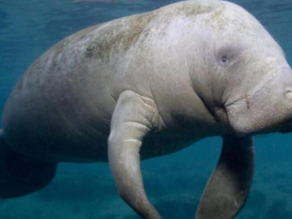 200 S Banana River Boulevard, Cocoa Beach, FL 32931