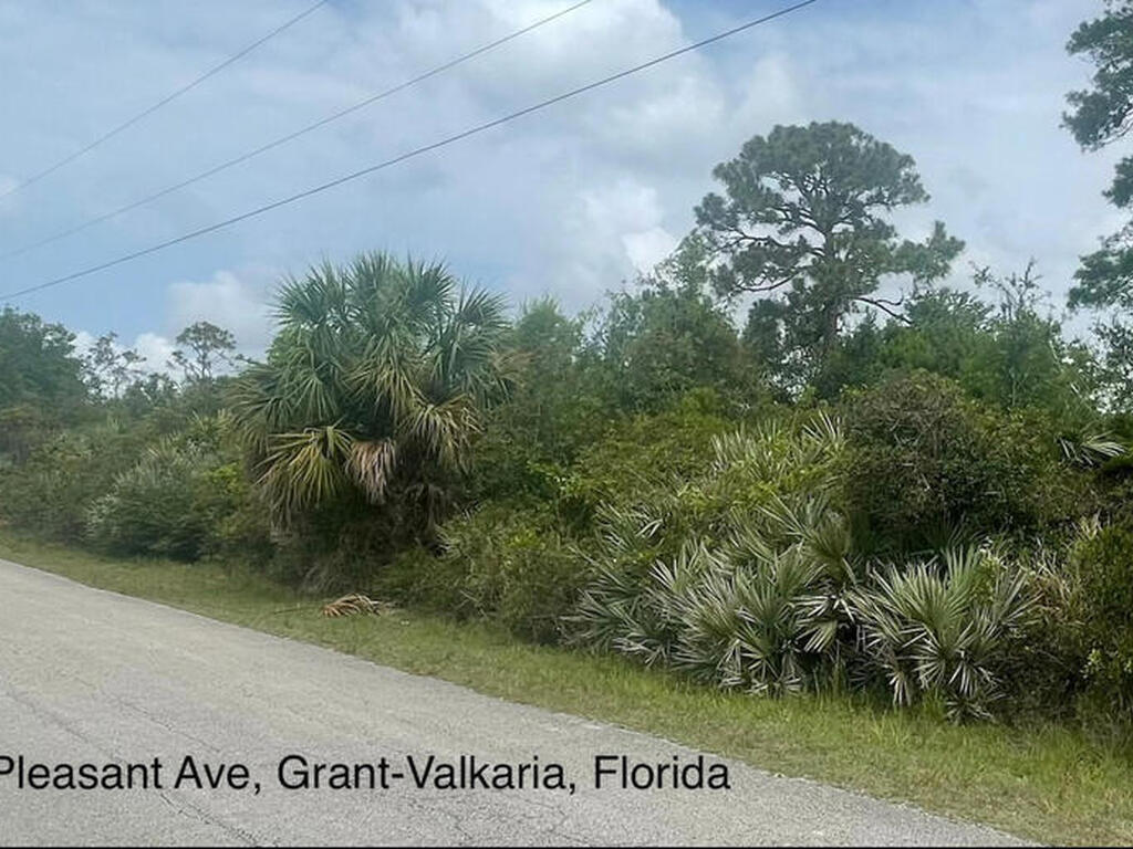 4660 Mount Pleasant Avenue, Grant-Valkaria, FL 32949