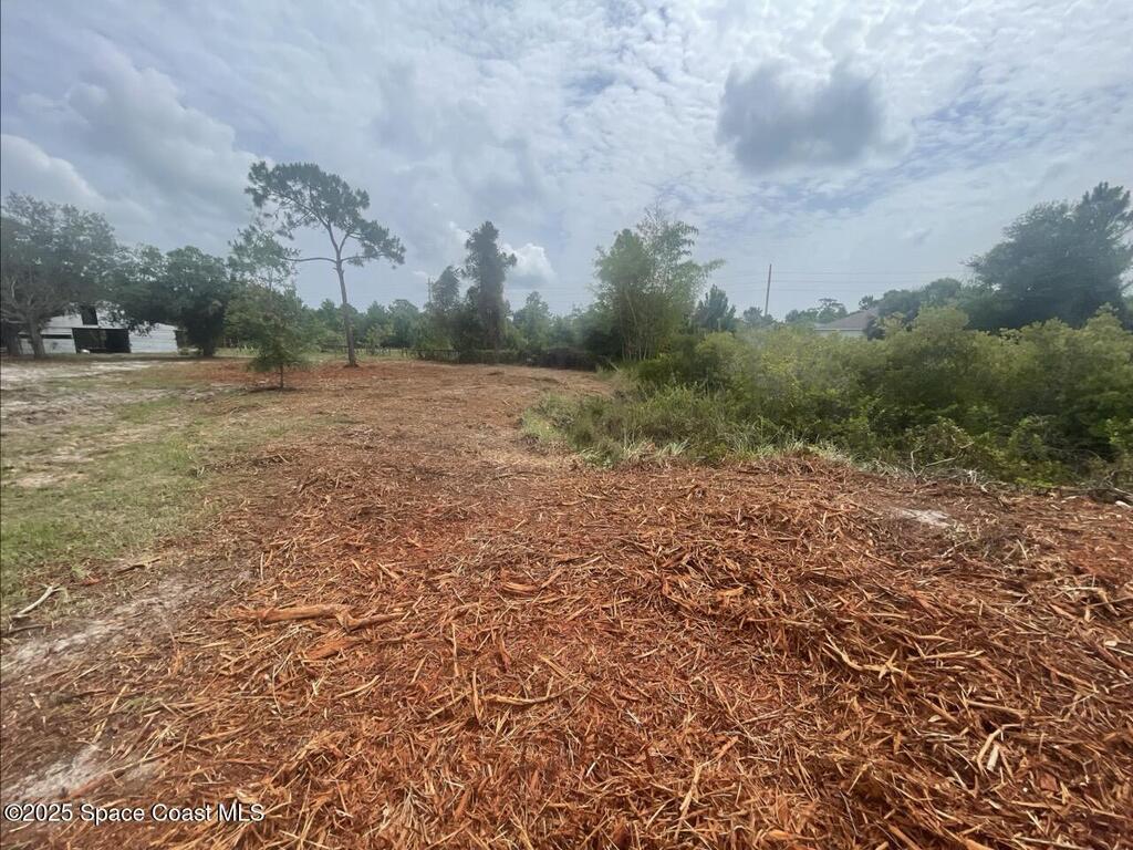 4660 Mount Pleasant Avenue, Grant-Valkaria, FL 32949