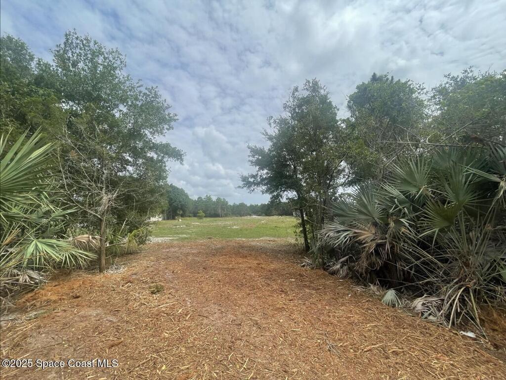 4660 Mount Pleasant Avenue, Grant-Valkaria, FL 32949