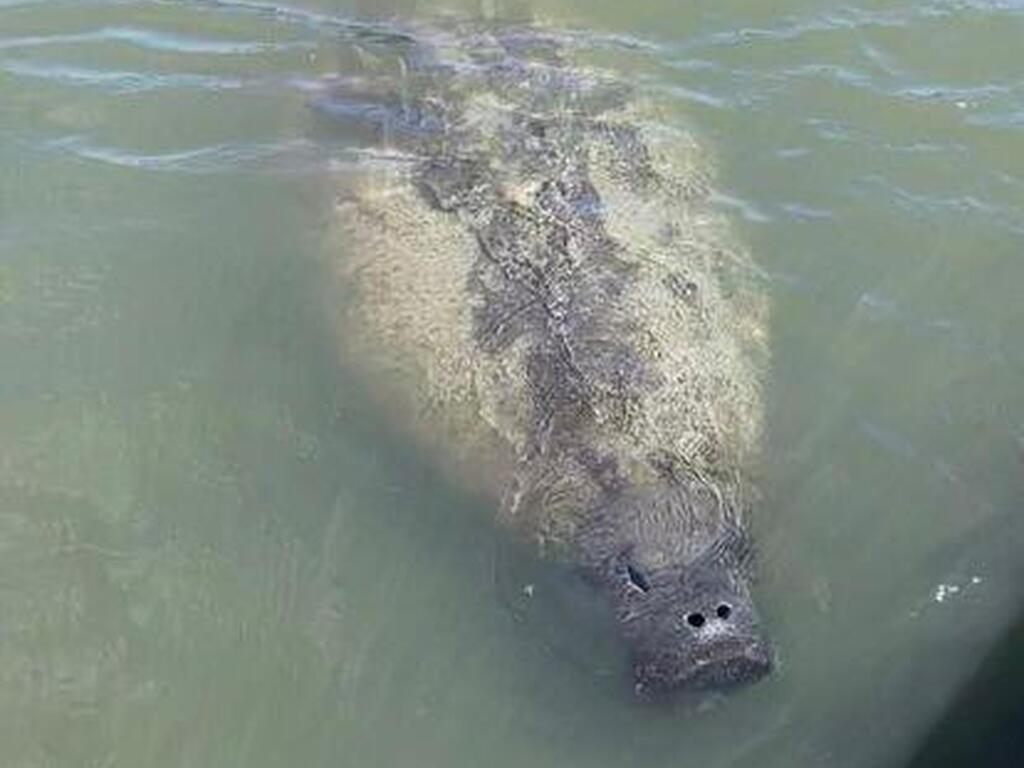 300 Columbia Drive, Cape Canaveral, FL 32920