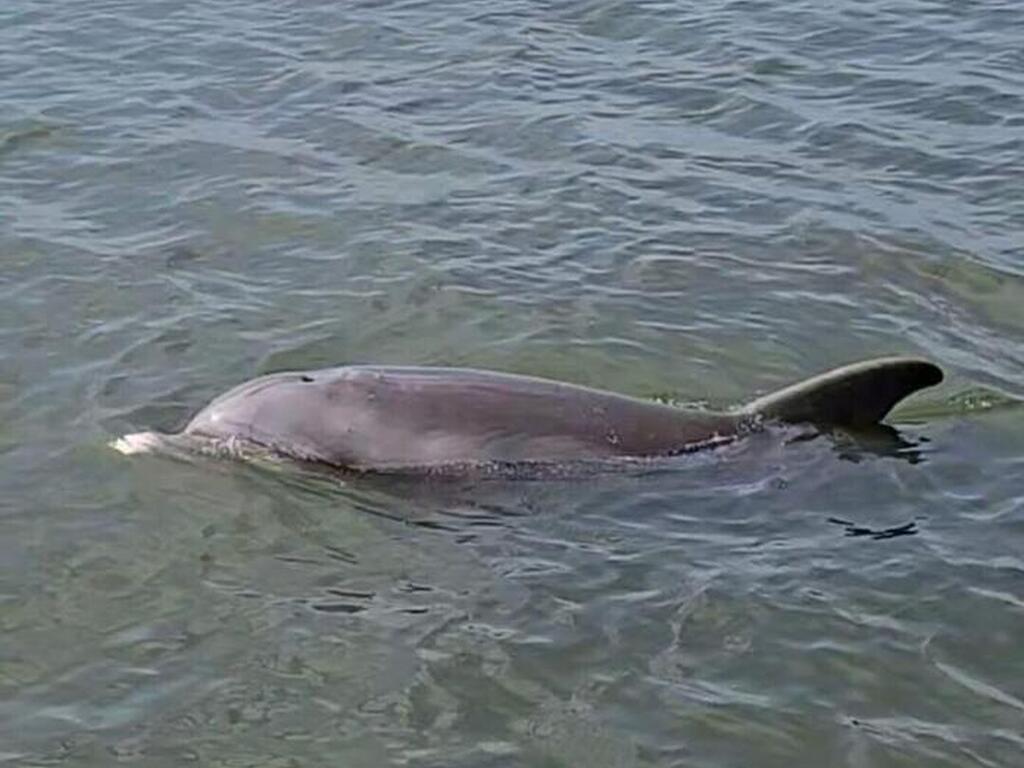 300 Columbia Drive, Cape Canaveral, FL 32920