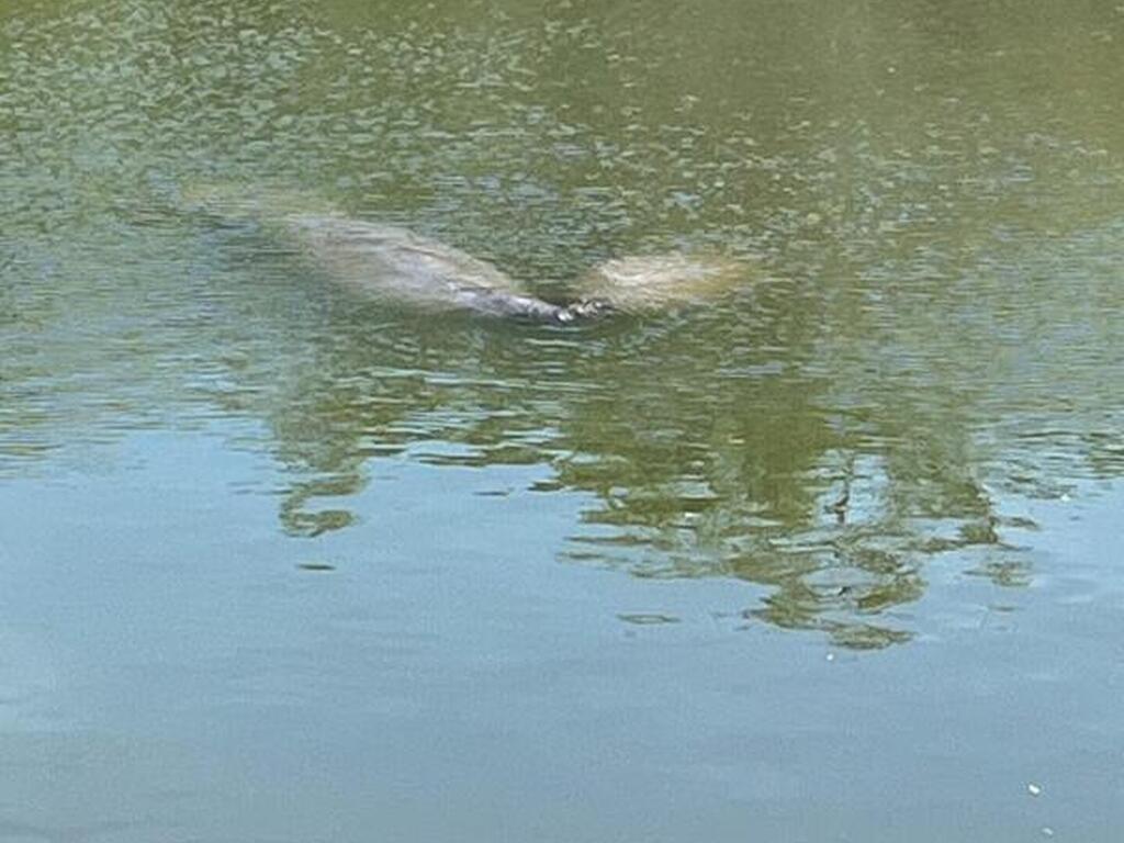 300 Columbia Drive, Cape Canaveral, FL 32920