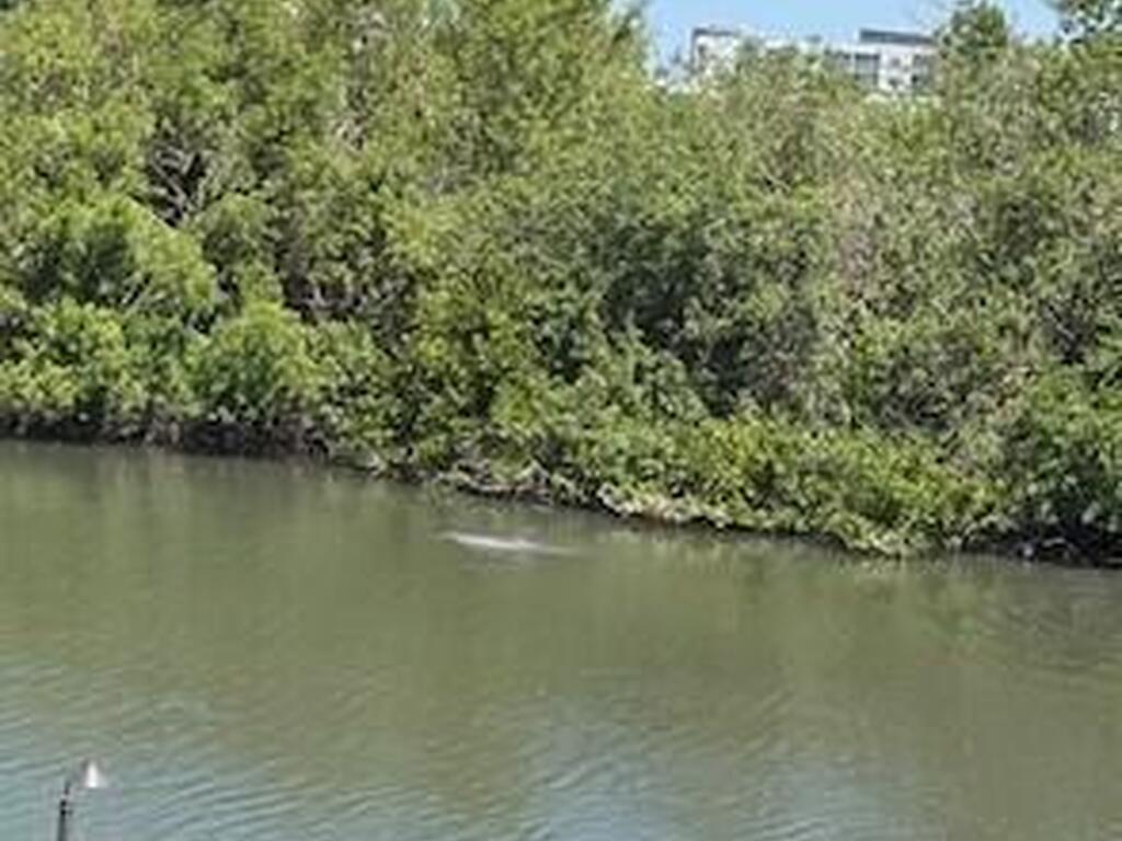 300 Columbia Drive, Cape Canaveral, FL 32920