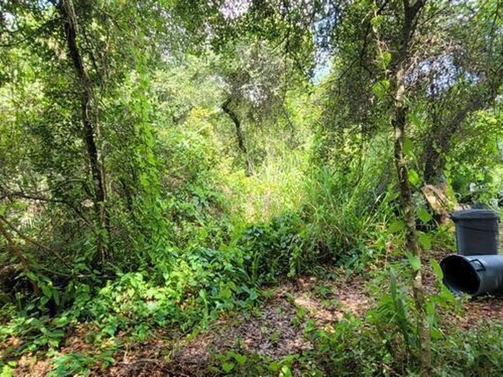 Unknown Woodland Hills Drive, Titusville, FL 32780