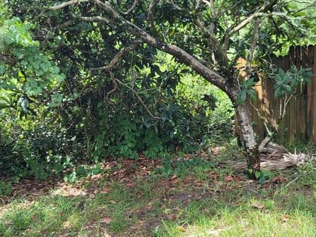 Unknown Woodland Hills Drive, Titusville, FL 32780