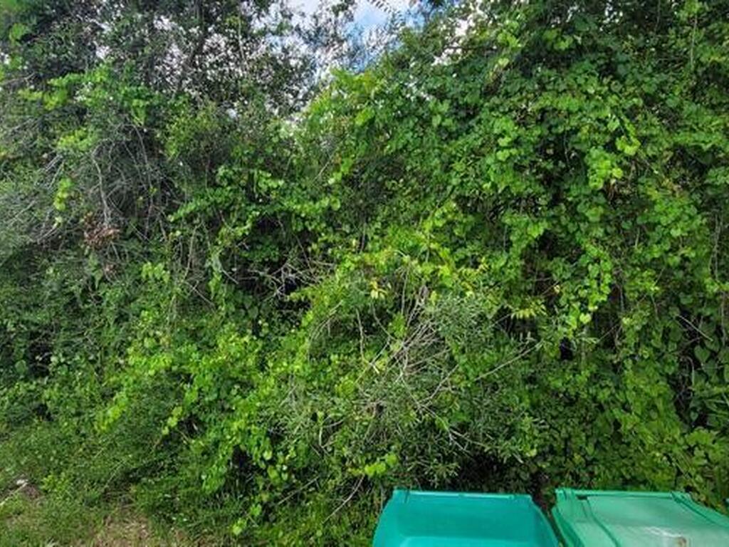 Unknown Woodland Hills Drive, Titusville, FL 32780