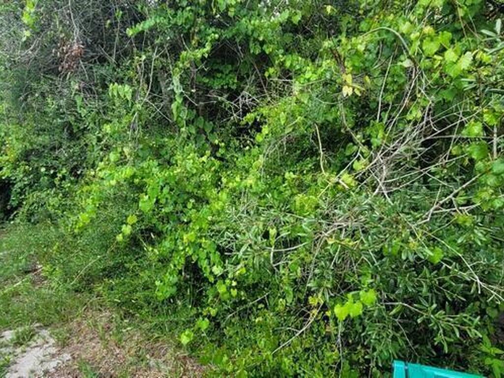 Unknown Woodland Hills Drive, Titusville, FL 32780