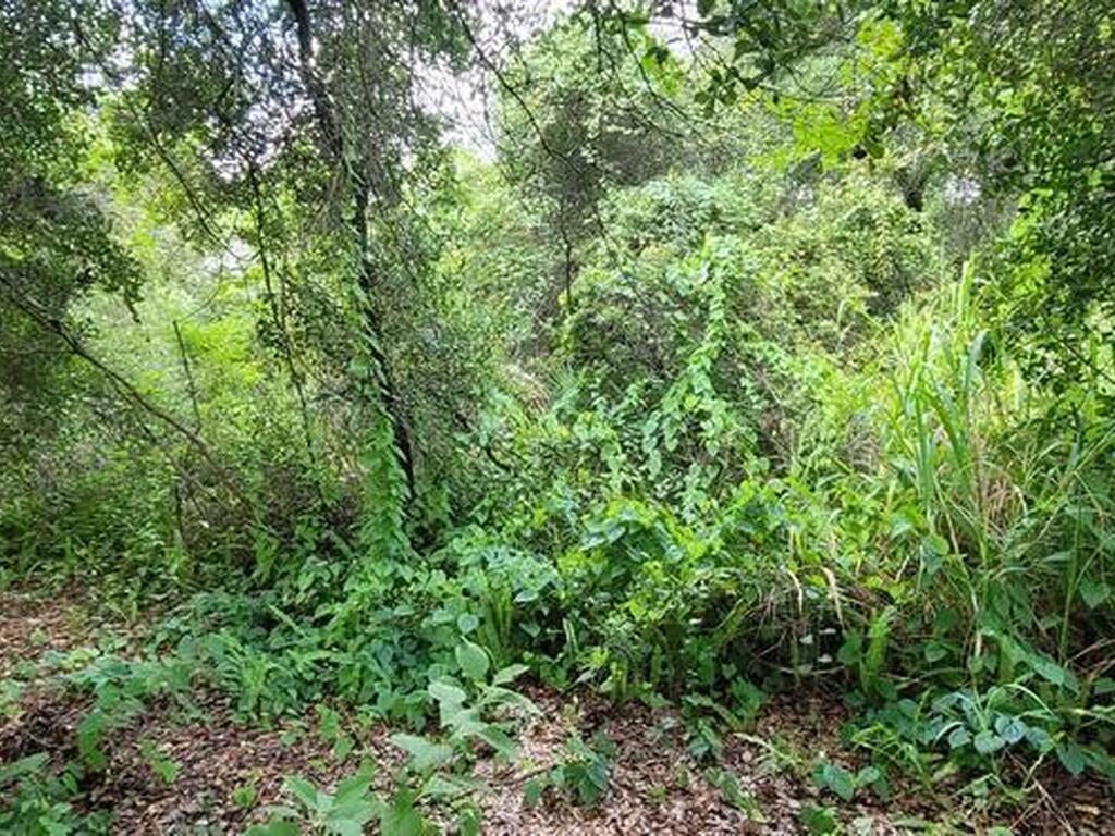 Unknown Woodland Hills Drive, Titusville, FL 32780