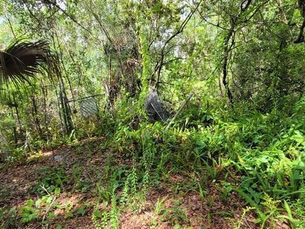 Unknown Woodland Hills Drive, Titusville, FL 32780