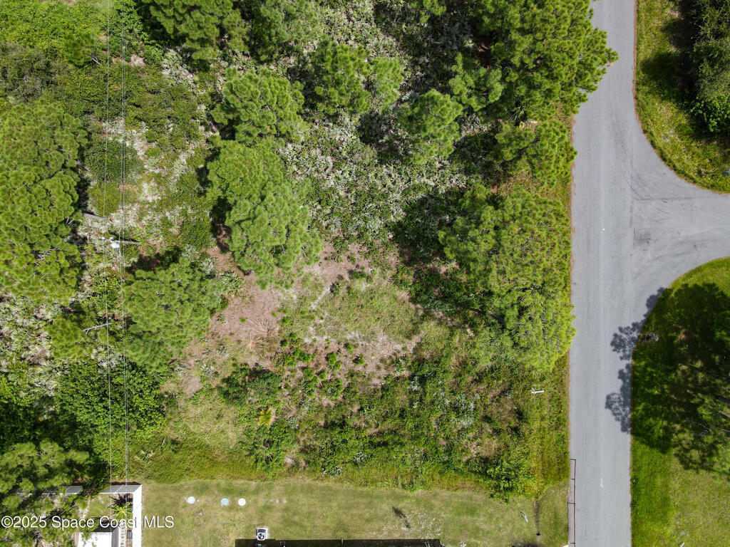 1151 Condor Street, Palm Bay, FL 32909