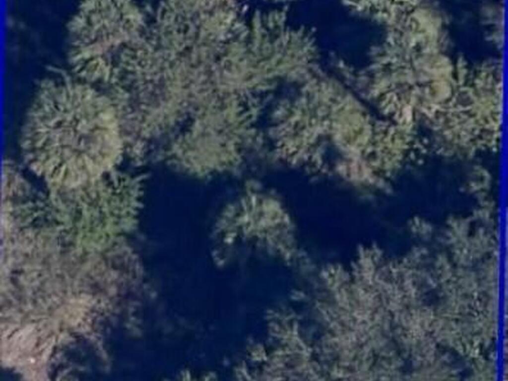 511 Hansare Street, Palm Bay, FL 32908