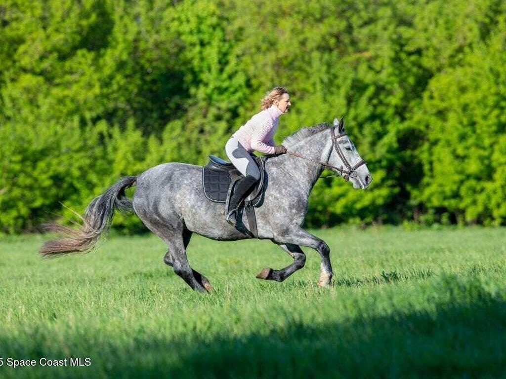 342 Trotters Street, Palm Bay, FL 32909