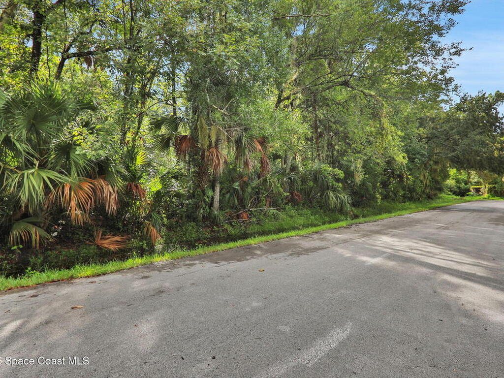 711 Tennessee Terrace, Ormond Beach, FL 32174