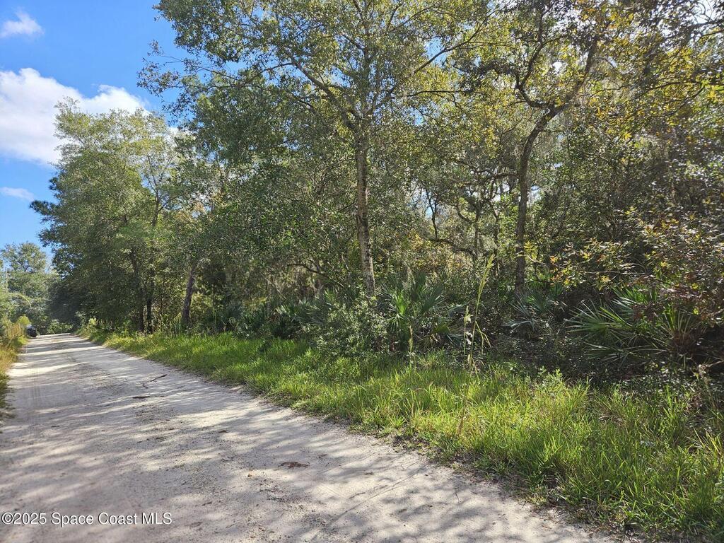 4600 N Beacon Light Road, Edgewater, FL 32141