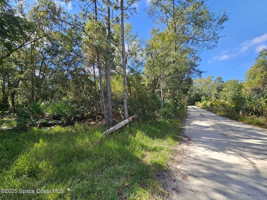 4600 N Beacon Light Road, Edgewater, FL 32141