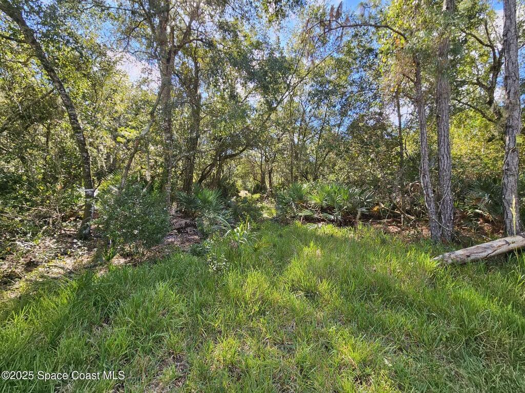 4600 N Beacon Light Road, Edgewater, FL 32141