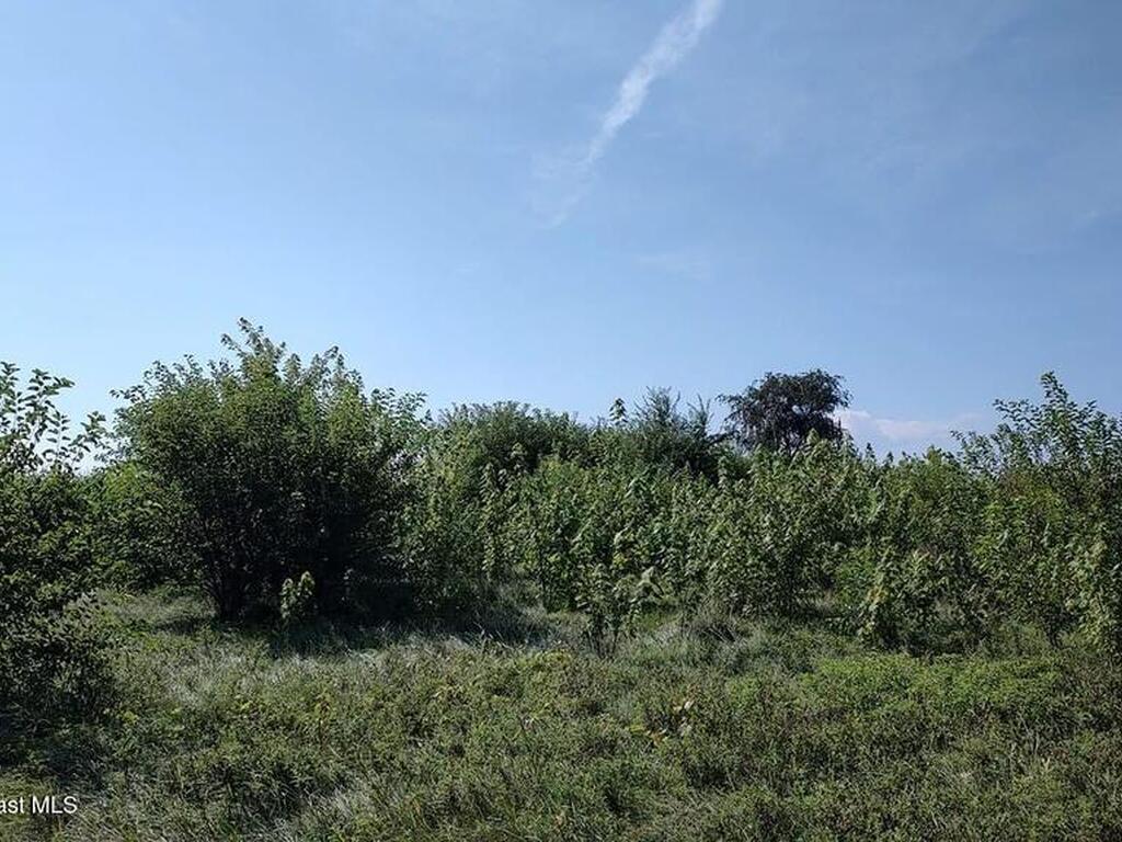 790 SW Burgess Street, Palm Bay, FL 32908