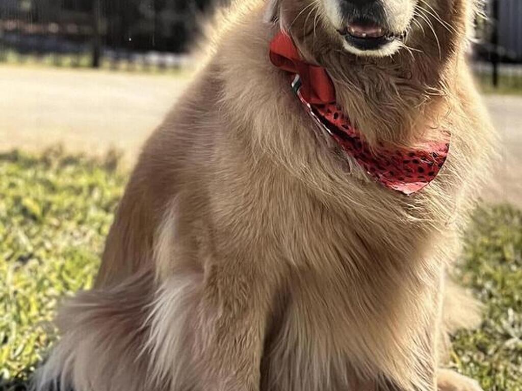 19 Lagoon Way, Titusville, FL 32780