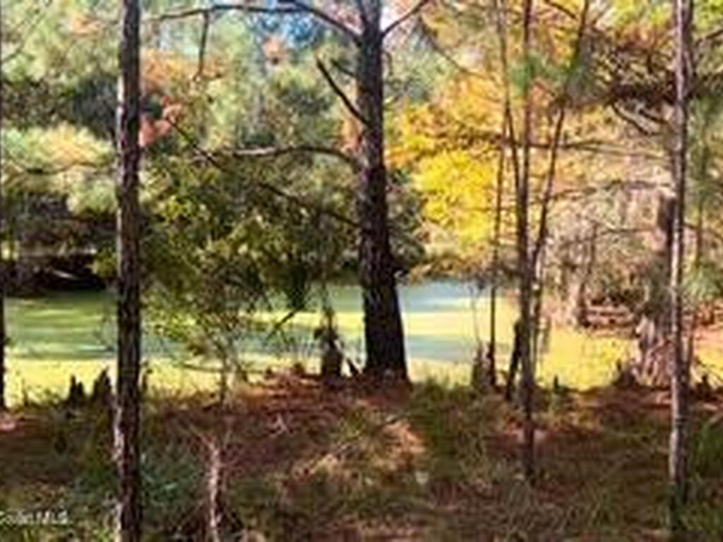 882 County Road 310, Interlachen, FL 32148