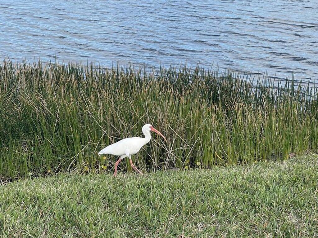 6828 Toland Drive, Melbourne, FL 32940