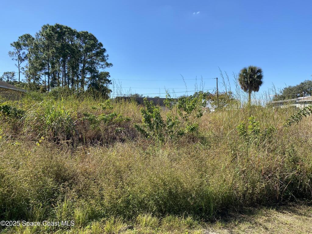 2612 Palmer Avenue, Palm Bay, FL 32909