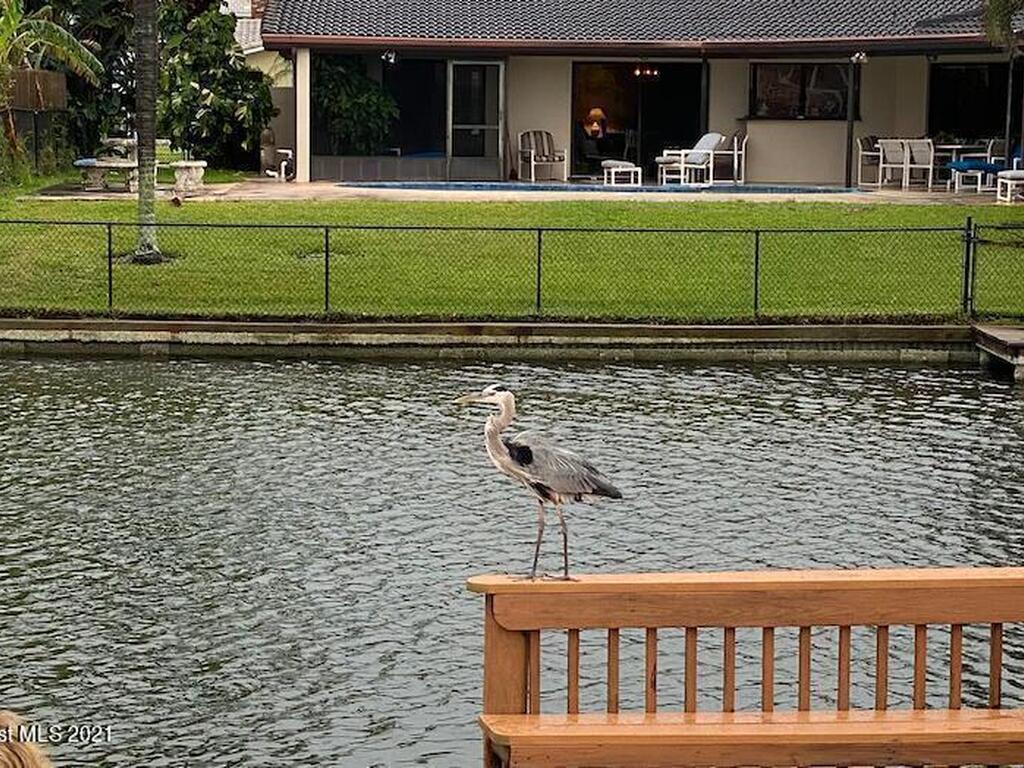 146 Bimini Road, Cocoa Beach, FL 32931