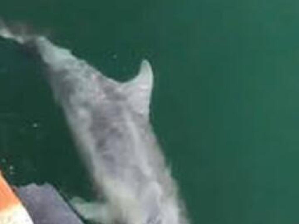 146 Bimini Road, Cocoa Beach, FL 32931