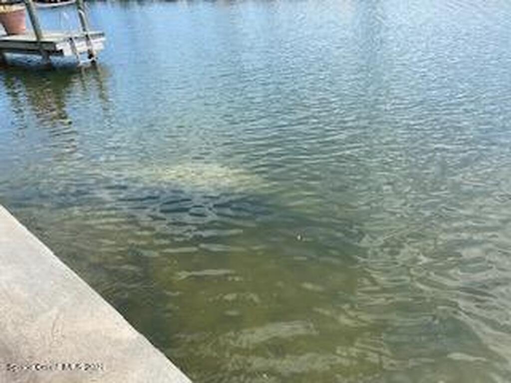 146 Bimini Road, Cocoa Beach, FL 32931