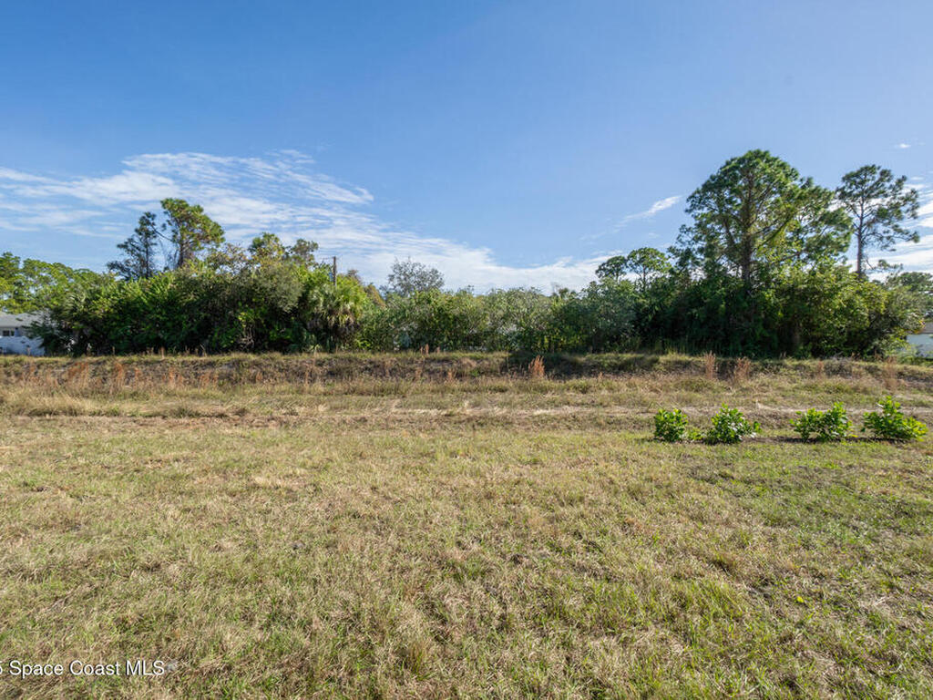 2357 Hagoplan Avenue, Palm Bay, FL 32908