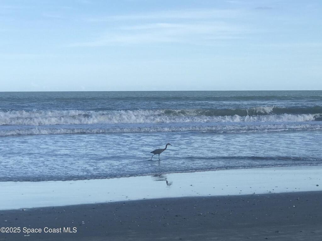 2100 N Atlantic Avenue, Cocoa Beach, FL 32931